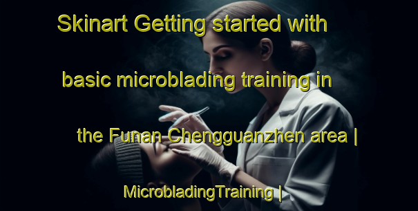 Skinart Getting started with basic microblading training in the Funan Chengguanzhen area | MicrobladingTraining | MicrobladingClasses | SkinartTraining-China